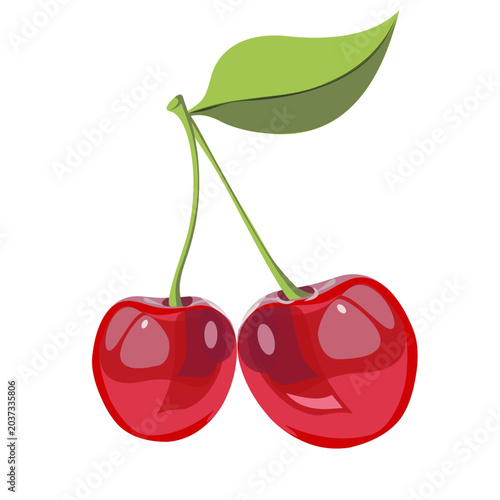 Cute vector illustration of two shiny red cherries with green leaves 