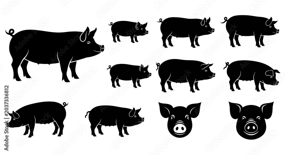 Obraz premium Collection of silhouette illustrations of various pigs and a pig's head, presented in black and white on a plain background, ideal for farming or agricultural themes