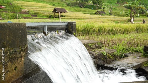 Clear water flows through irrigation canals in a village, providing clean water for rice fields. It is crucial for sustainable agriculture and efficient water management.