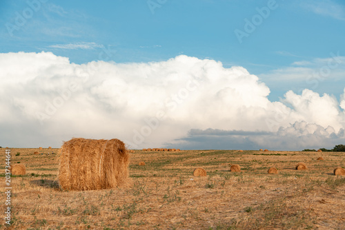 Large round hay bale in a dry summer field under massive white clouds and blue sky, rural harvest landscape
