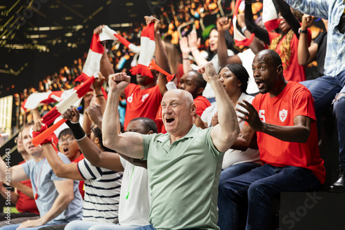 Bilde på lerret Joyful football supporters jumping after winner goal secures world championship victory, thrilling soccer match