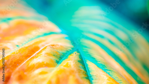 Golden Haze Over Vibrant Tropical Palm Leaves