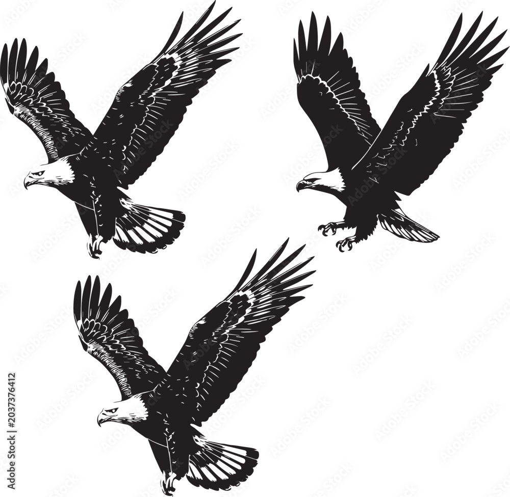 Obraz premium Set of bald eagle silhouettes, majestic birds in flight, detailed black and white vector illustrations, symbols of freedom and power.