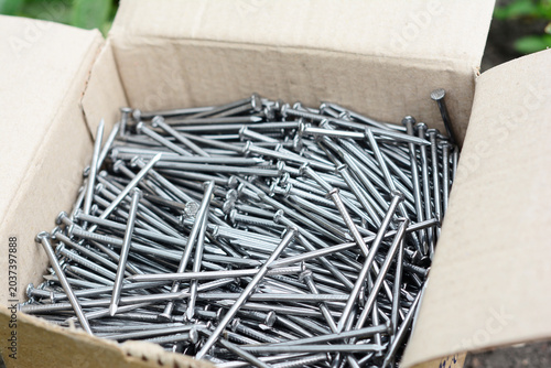 Steel Nails in Cardboard Box Construction Hardware