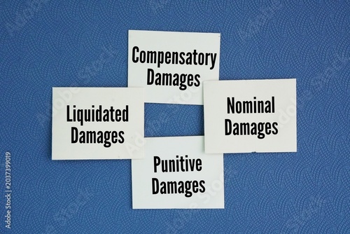 Tableau sur toile Paper with the words Compensatory Damages, Nominal Damages, Punitive Damages, Liquidated Damages