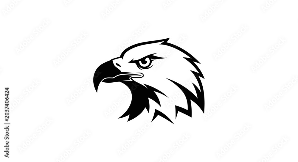 Fototapeta premium Bald Eagle Head Illustration Closeup.