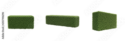 Fotografie Green Hedge Block Isolated on White Background Trimmed Shrub Element Garden Topi
