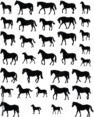 Quadro em tela Horse Silhouette Collection Featuring Running Standing Walking and Grazing Horse