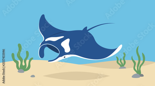 Foto Manta Ray Gliding Over Sandy Ocean Floor