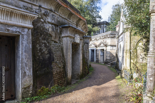 Tableau sur toile Historic stone tombs along a path in Highgate Cemetery