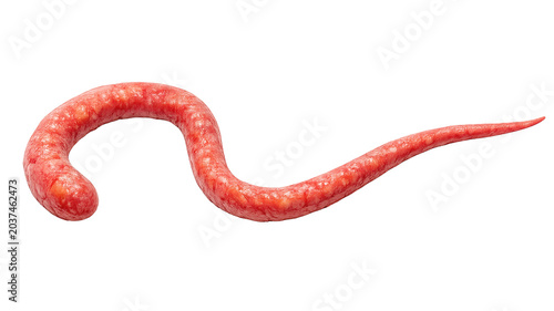 Ebola Transparent Object Illustration of Red Filovirus Microorganism Isolated