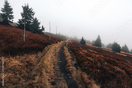 Schilderij op canvas Ghostly dirt path leading into a thick white fog on a mountain ridge