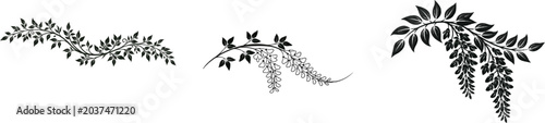 A minimalist Art Nouveau wisteria line art divider with elegant floral flourishes on a stark white background, perfect for vector tracing