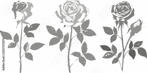 Quadro su tela Rose silhouettes with stems and leaves on a white background