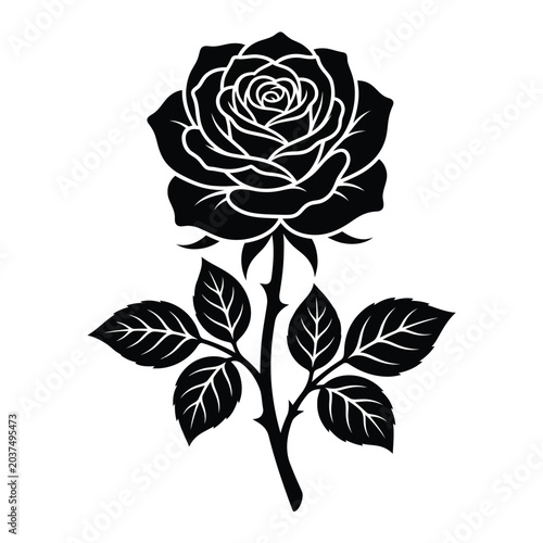 Black and white rose flower illustration.