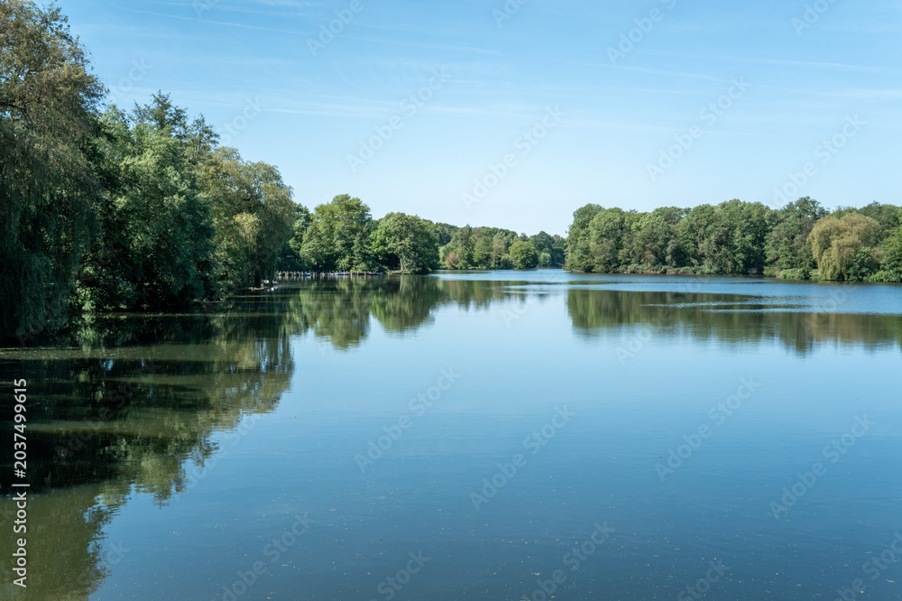 Obraz premium Calm lake reflects trees and blue sky in a natural setting on a sunny afternoon