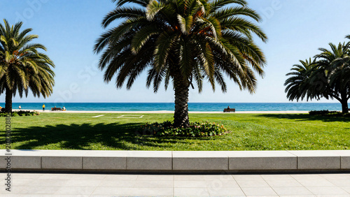 Sunny tropical beach park with palm trees and minimalist coastal landscape design