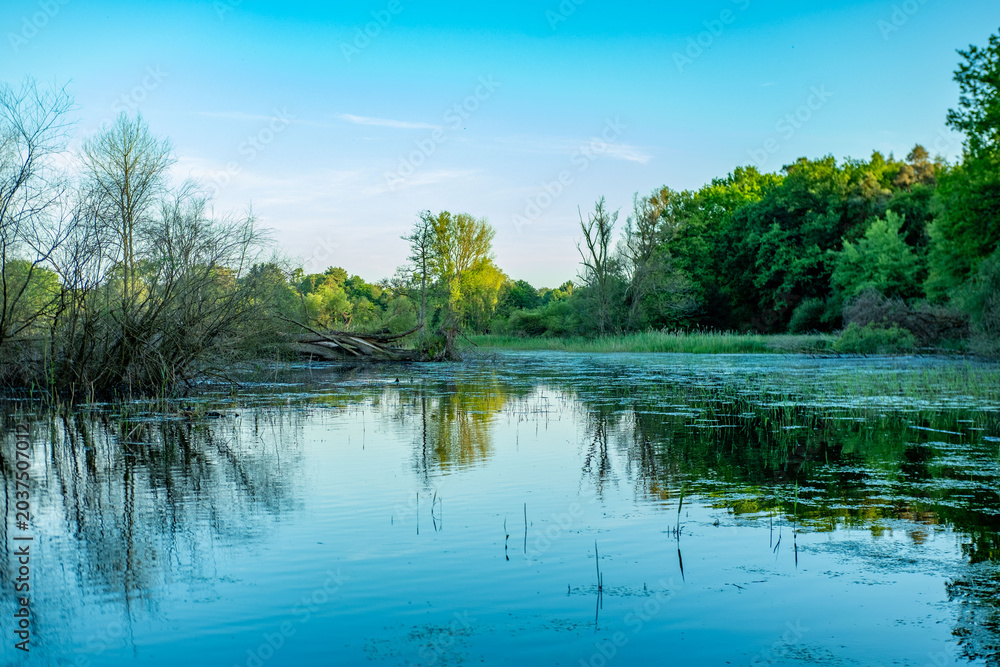 Fototapeta premium Majestic view of a vast flowing wide river winding through scenic natural countryside landscape, tranquil freshwater ecosystem background, peaceful wilderness environment, Beautiful scenic landscape