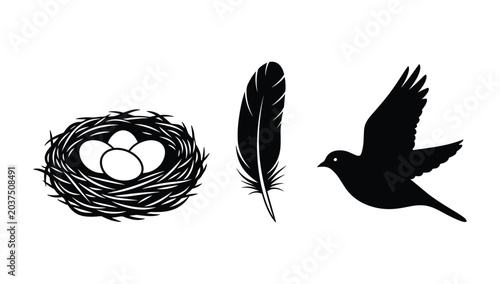 Bird life and nesting icons featuring eggs in nest feather and flying bird silhouette for ornithology and nature graphic projects