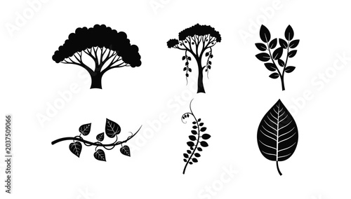 Diverse collection of black silhouette flora and fauna elements including trees vines and leaves