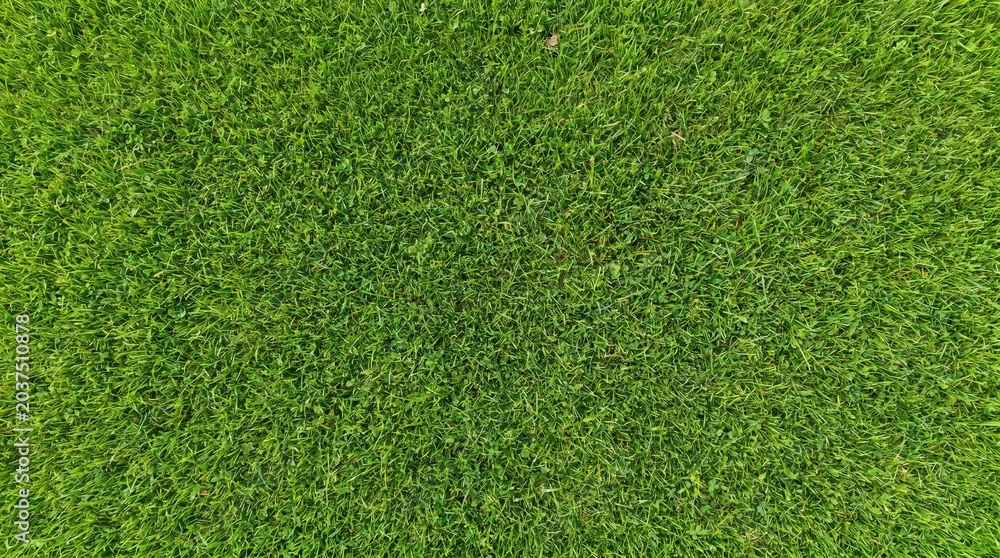 Obraz premium Vibrant green grass texture from an aerial perspective, showing a dense and healthy lawn surface.