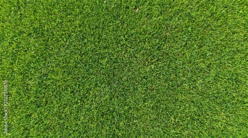 Vibrant green grass texture from an aerial perspective, showing a dense and healthy lawn surface.