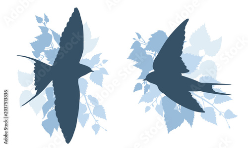 Swallow bird silhouettes with birch leaves, vector minimal nature illustration set isolated on white background. Spring wildlife avian shapes graphic collection