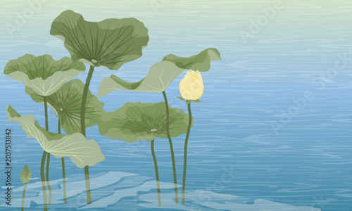 Lotus flower bud and green leaves in pond water, vector nature background with copy space. Asian lake landscape, zen spa wellness illustration, oriental river plant