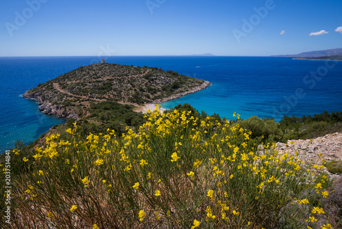 Foto Trachili beach with ancient watchtower, yellow gorse blossom, Aegean sea, Chios,