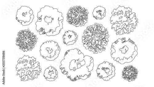 Detailed hand drawn tree top view illustrations for master planning and landscape designs.