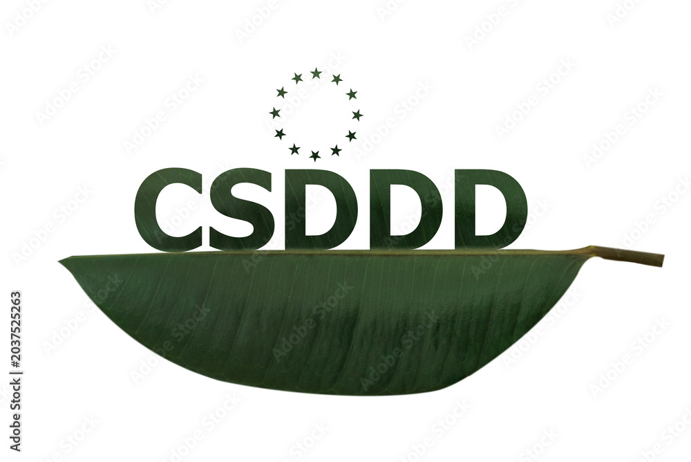 Fotografie CSDDD text and icon green leaf isolated on transparent background