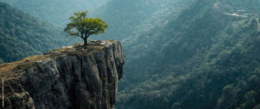 Obraz premium Lone Tree Growing on Rocky Precipice Mountain Landscape, Misty Atmosphere, Wide Shot