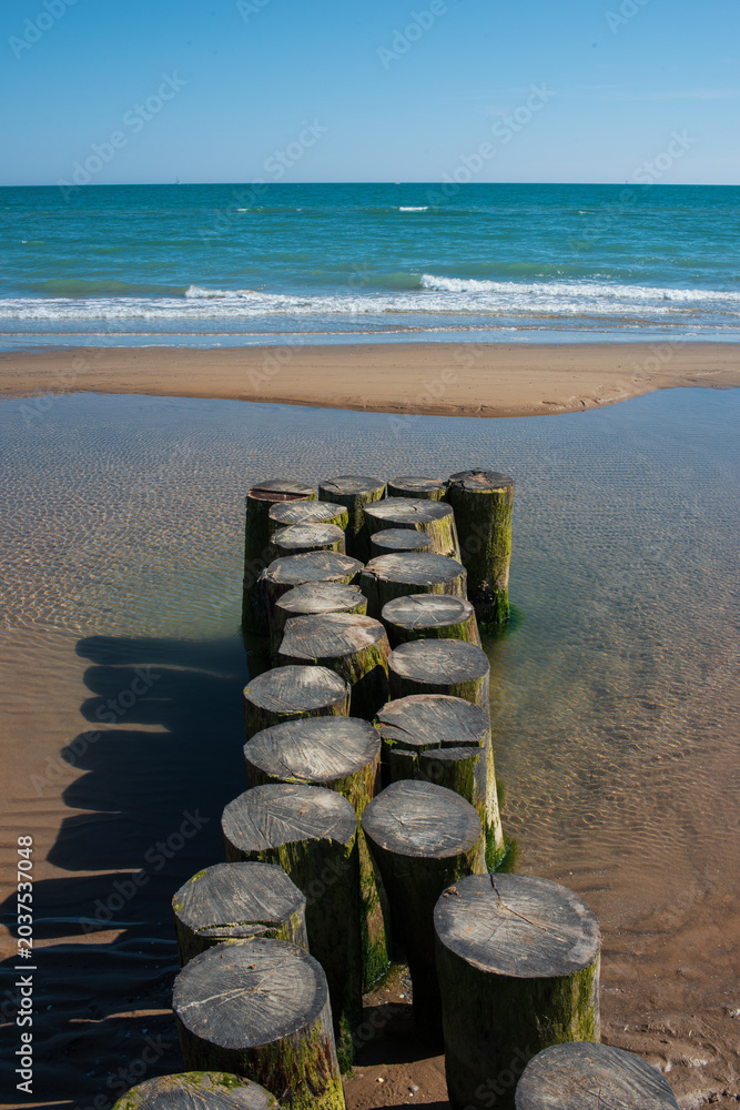 Obraz premium Wooden Groyne Breakwater On Sandy Beach – Symmetrical Coastline Horizon Landscape