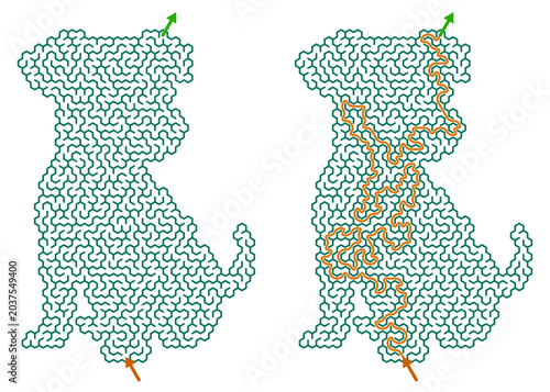 Dog maze outline with solution path marked in orange color  