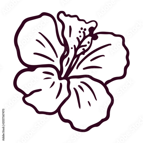 Hand drawn blooming hibiscus flower doodle vector illustration