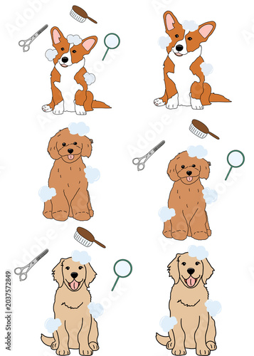 Pet Grooming Bath Illustration Set for Dogs