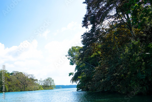 Gatun Lake is an artificial lake in Panama, traversed by the navigable link connecting the Atlantic and Pacific Oceans. It serves primarily as a freshwater reservoir. 