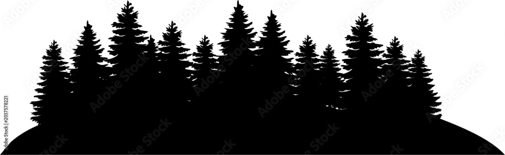 Obraz premium Evergreen Forest Silhouette