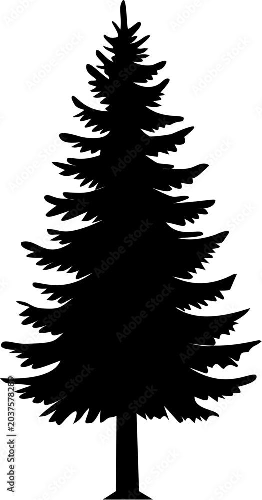 Obraz premium Evergreen Tree Silhouette: Pine, Fir, Spruce