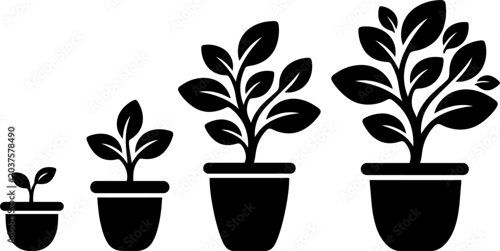 Fototapeta premium Vector Silhouette of Plant Growth Stages in Pot for Gardening Concept