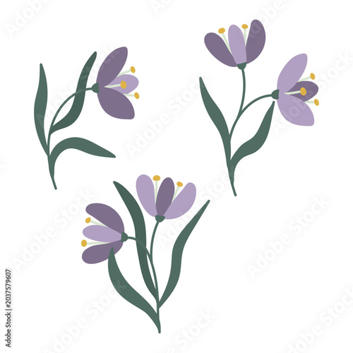 Set of minimalist floral illustrations with purple flowers and green leaves in Scandinavian style. Modern flat botanical collection featuring simple hand drawn blossoms isolated on light background.