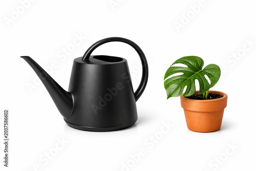 Modern Black Watering Can with Monstera Plant