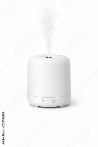 Minimalist White Humidifier with Mist