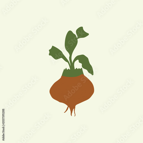 Vegetable abstract hand drawn illustration, vector botanical design, organic food, beet with leaves poster