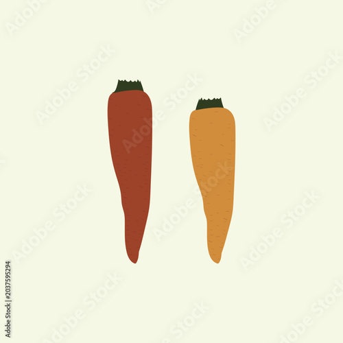 Abstract hand drawn vegetable vector illustration, organic carrot poster design, healthy garden and food
