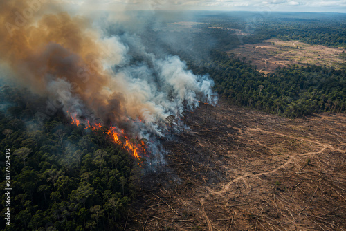 Aerial View of Forest Wildfire and Deforestation Environmental Disaster