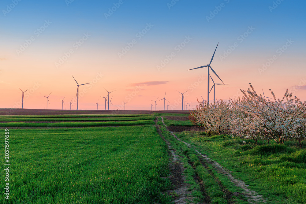 Obraz premium Wind turbines standing on a green field at sunset, symbolizing sustainable technology and clean power production for the environment