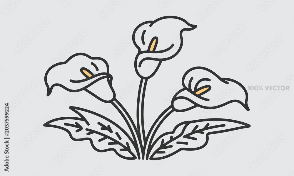 Fototapeta premium Line art calla lilies with yellow centers botanical minimalist
