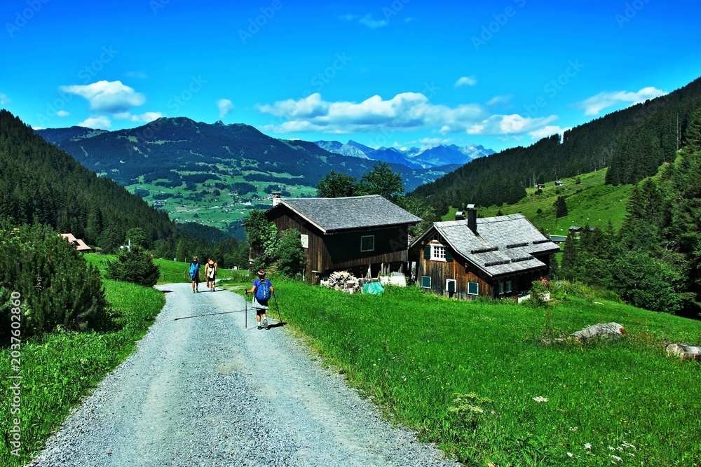 Obraz premium Austrian Alps - view from the path in valley Gauertal