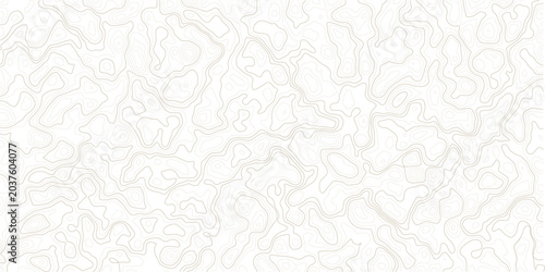 Bild auf Leinwand Topographic map design with beige lines on white background for graphic resource